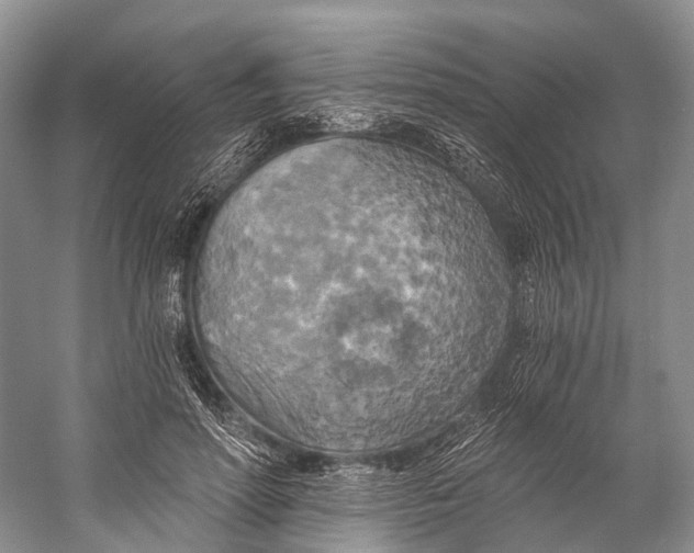 X0000058800598200510171349