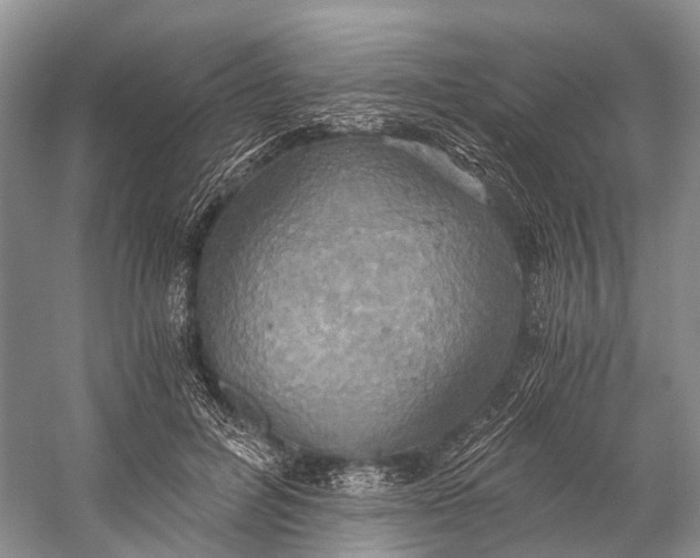 X0000058800600200510171349