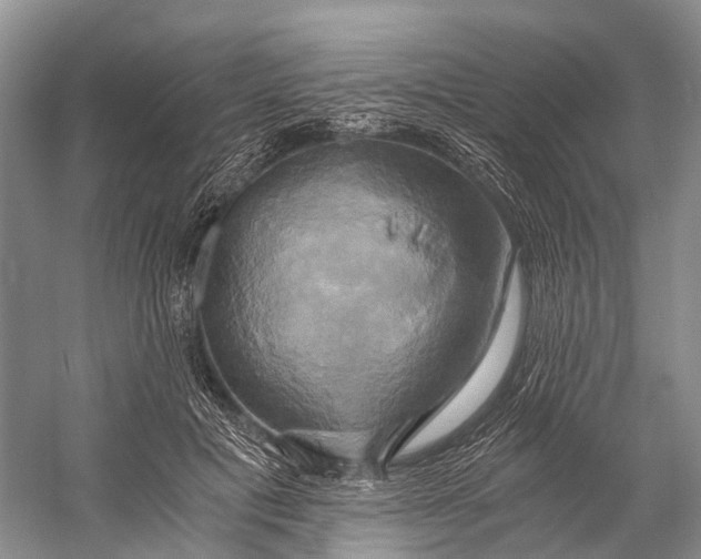 X0000058800601200510171349