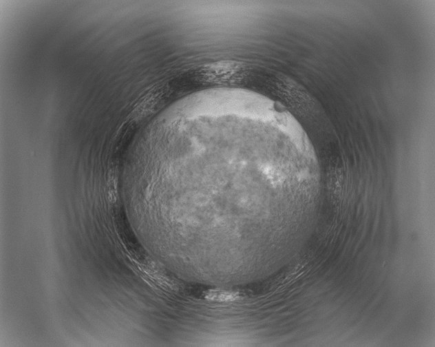 X0000058800602200510171349