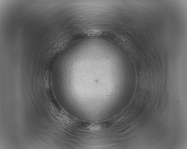 X0000058800604200510171349