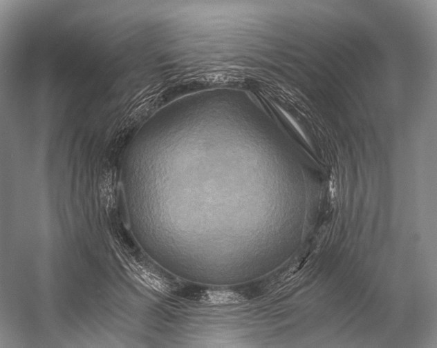 X0000058800605200510171349