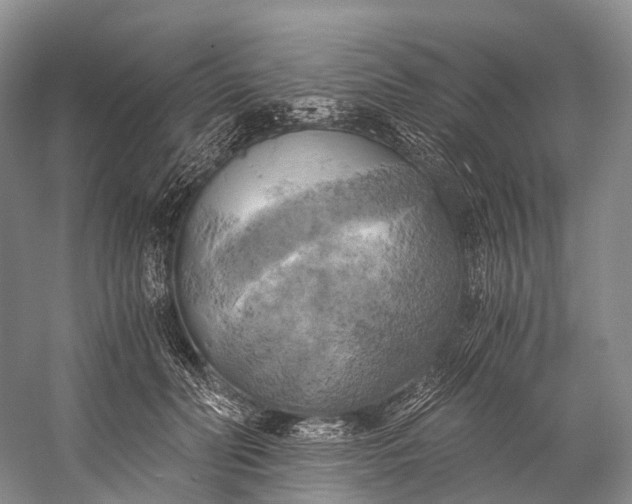 X0000058800606200510171349