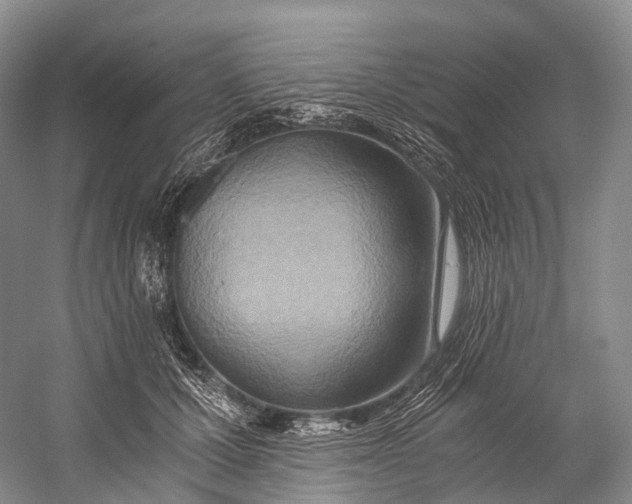 X0000058800607200510171349