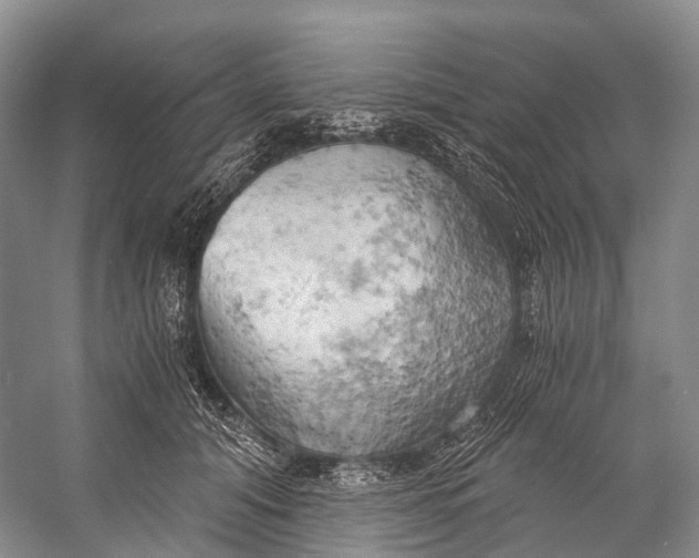 X0000058800608200510171349