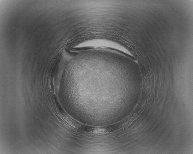 X0000058800609200510171349