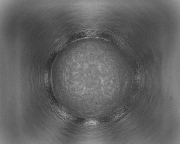 X0000058800610200510171349