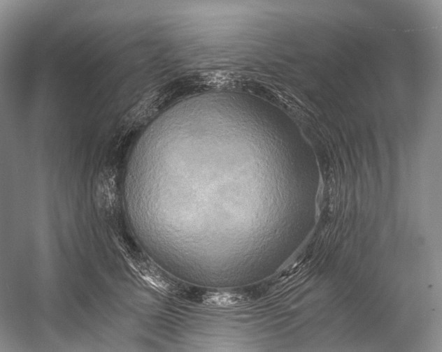 X0000058800611200510171349