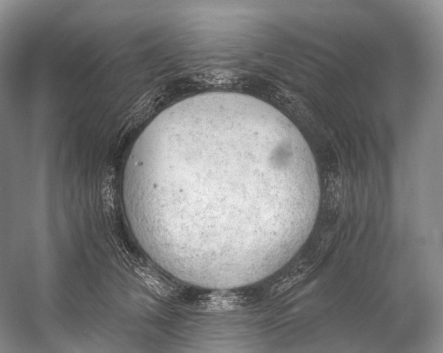 X0000058800612200510171349