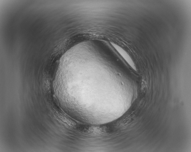 X0000058800613200510171349