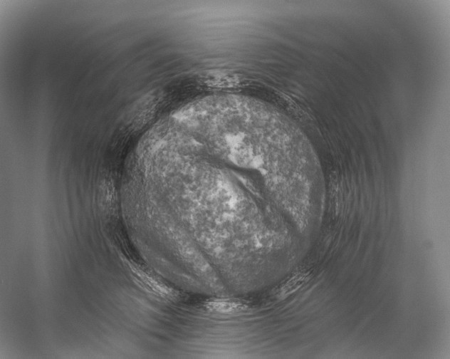 X0000058800614200510171349