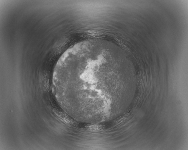 X0000058800615200510171349