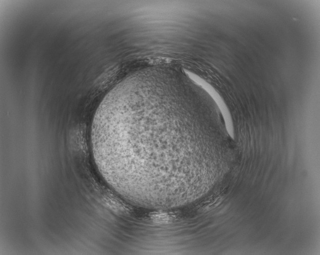 X0000058800616200510171349