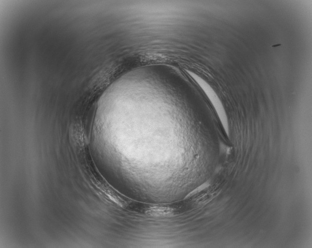 X0000058800617200510171349