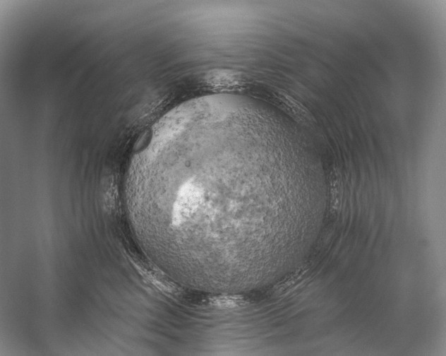 X0000058800618200510171348