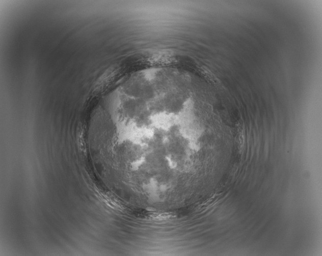 X0000058800619200510171348