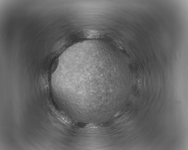 X0000058800620200510171348