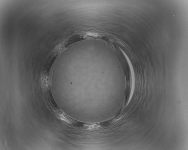 X0000058800621200510171348