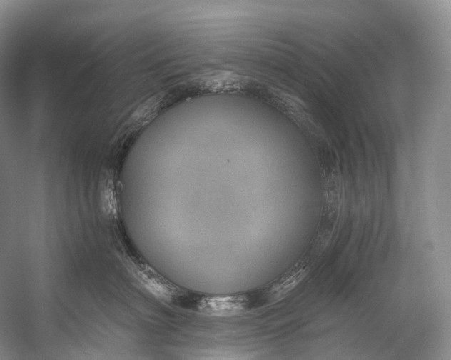 X0000058800622200510171348