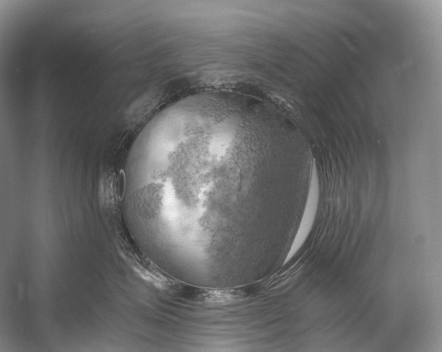 X0000058800623200510171348