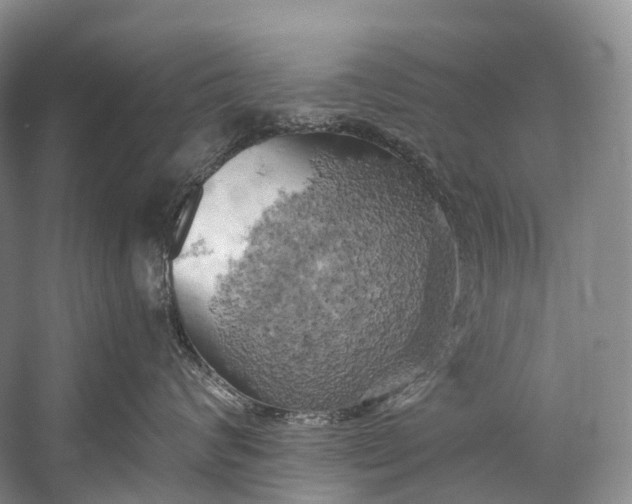 X0000058800624200510171348