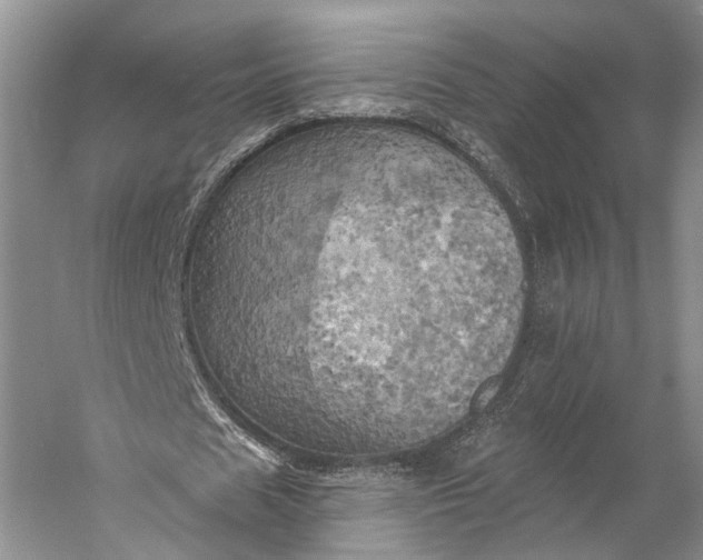 X0000058800625200510171348