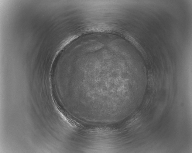 X0000058800626200510171348