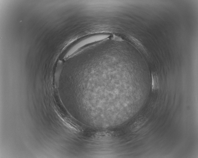 X0000058800627200510171348