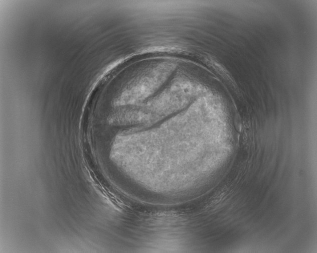 X0000058800628200510171348