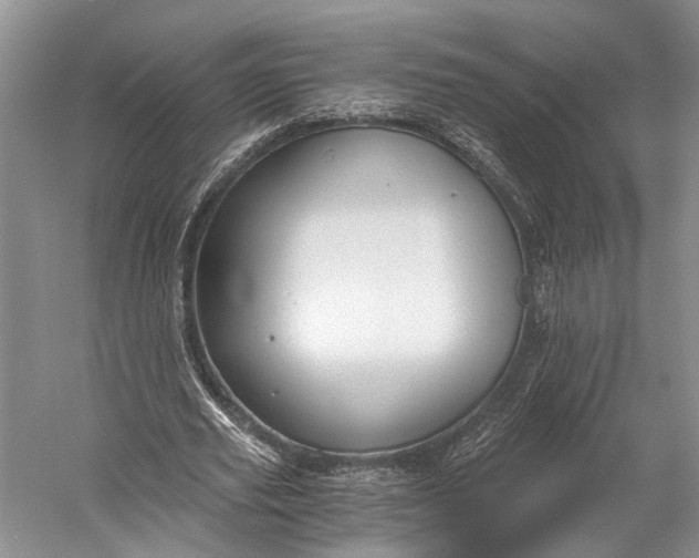 X0000058800629200510171348