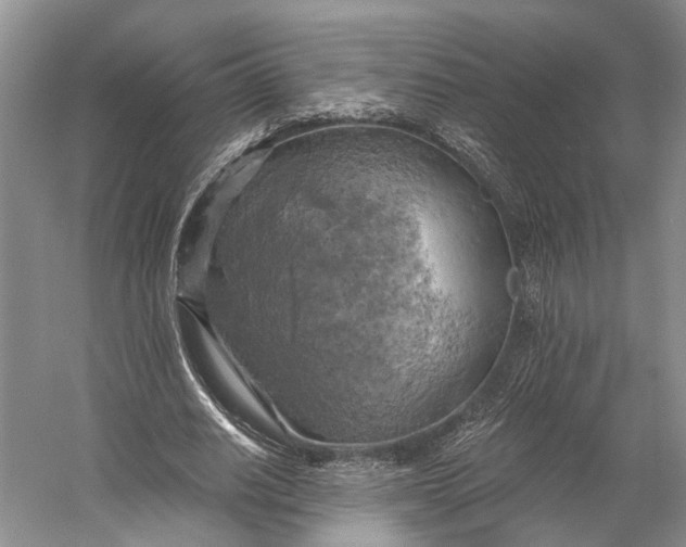 X0000058800630200510171348