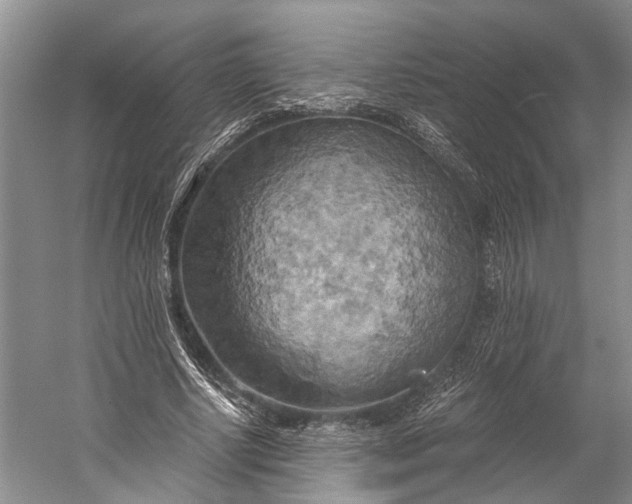 X0000058800634200510171348