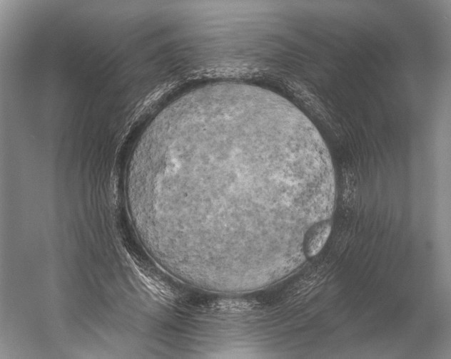 X0000058800636200510171348