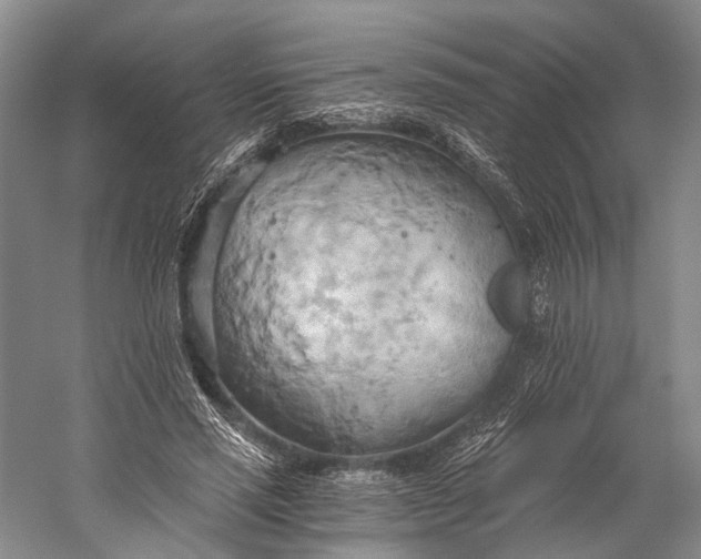 X0000058800637200510171348