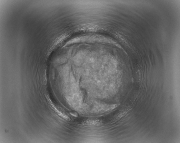 X0000058800638200510171348