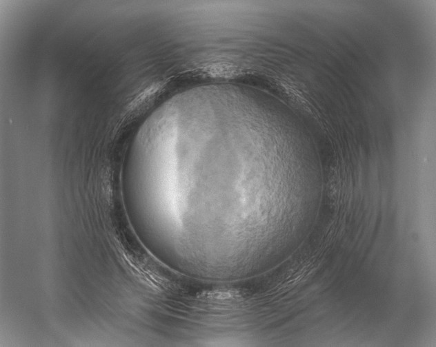 X0000058800639200510171348