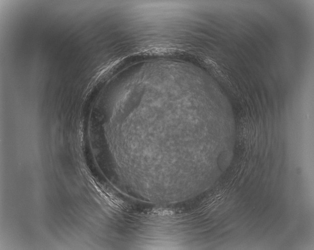 X0000058800640200510171348