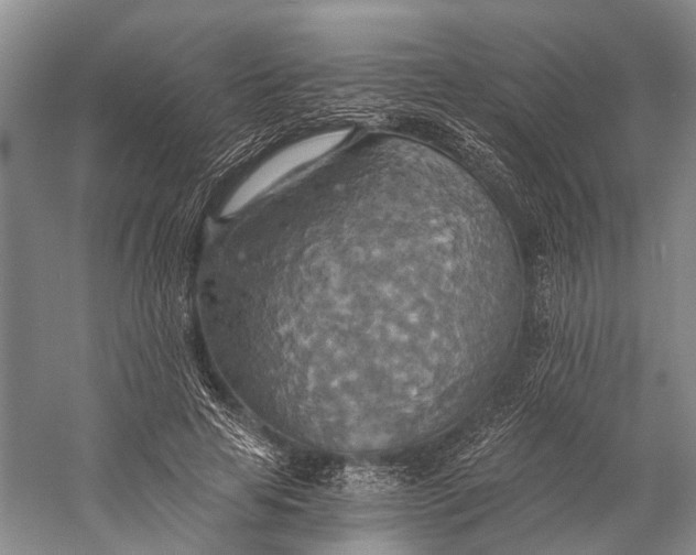 X0000058800641200510171348