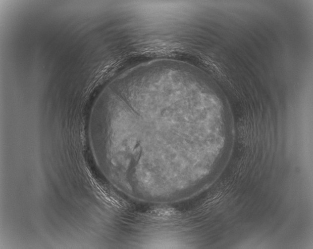 X0000058800642200510171348