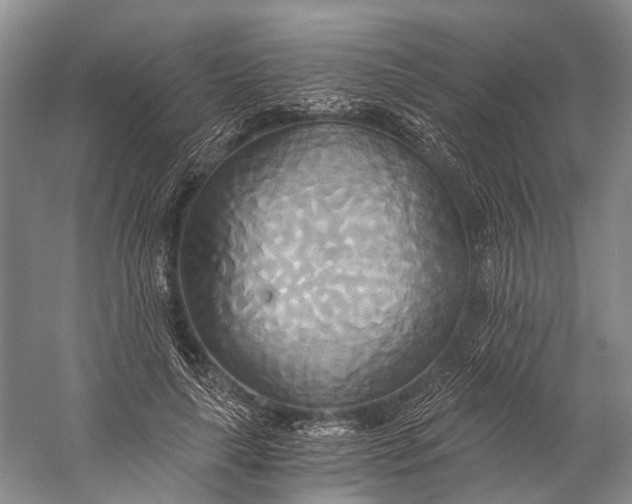 X0000058800643200510171348