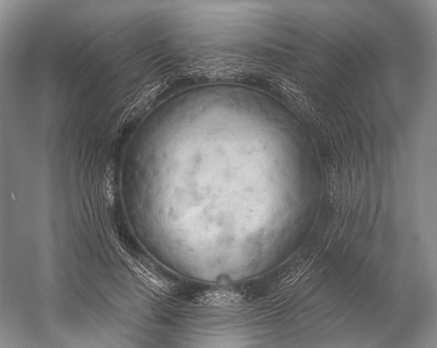 X0000058800644200510171348