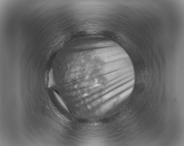 X0000058800646200510171348