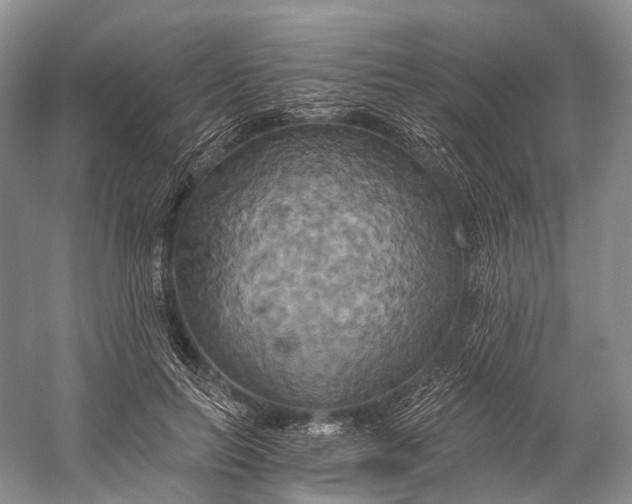 X0000058800647200510171348