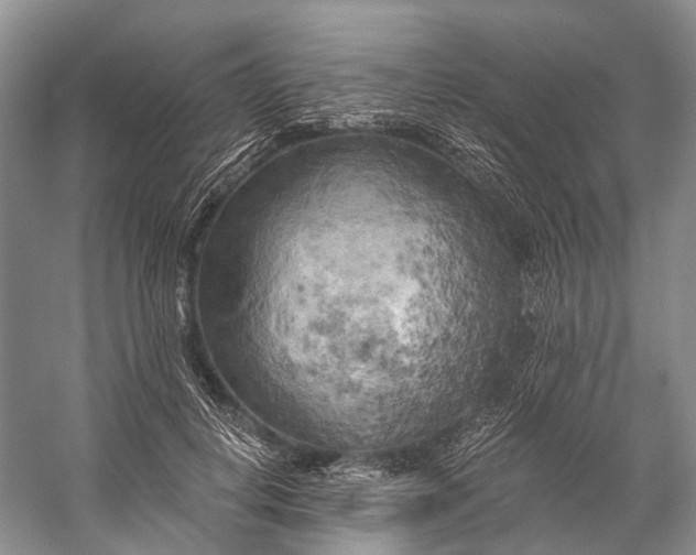 X0000058800648200510171348