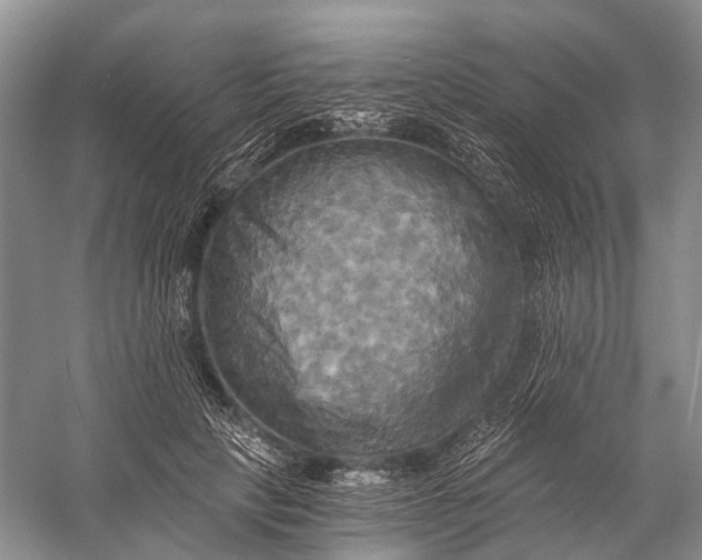 X0000058800649200510171348