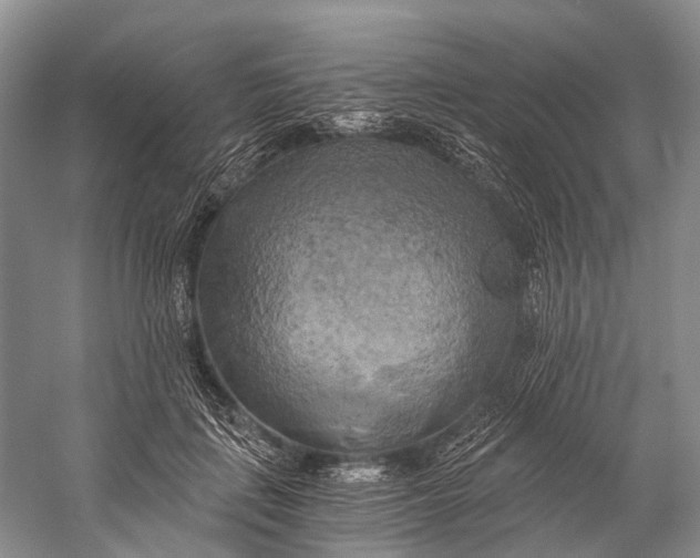 X0000058800651200510171348