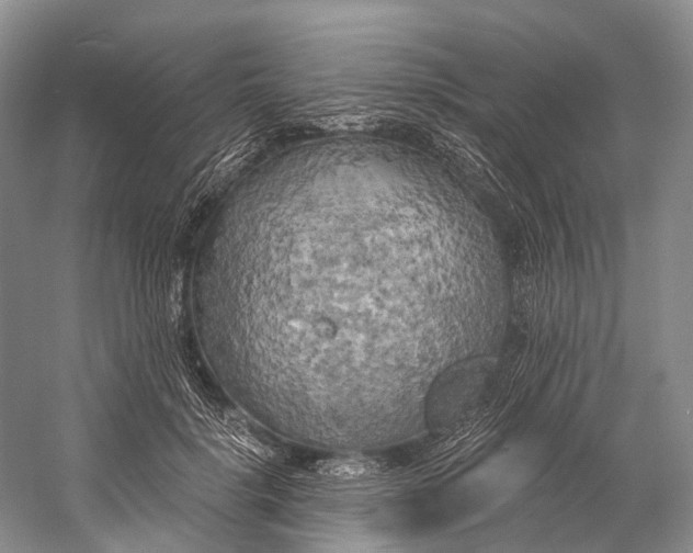 X0000058800652200510171348