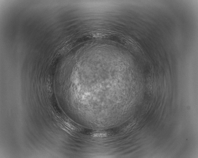 X0000058800653200510171348