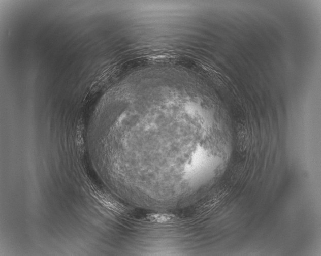 X0000058800654200510171348