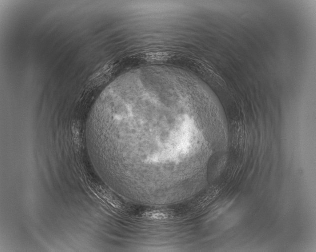 X0000058800655200510171348